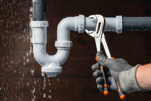 Professional Emergency Plumber technician working in Alplaus, NY